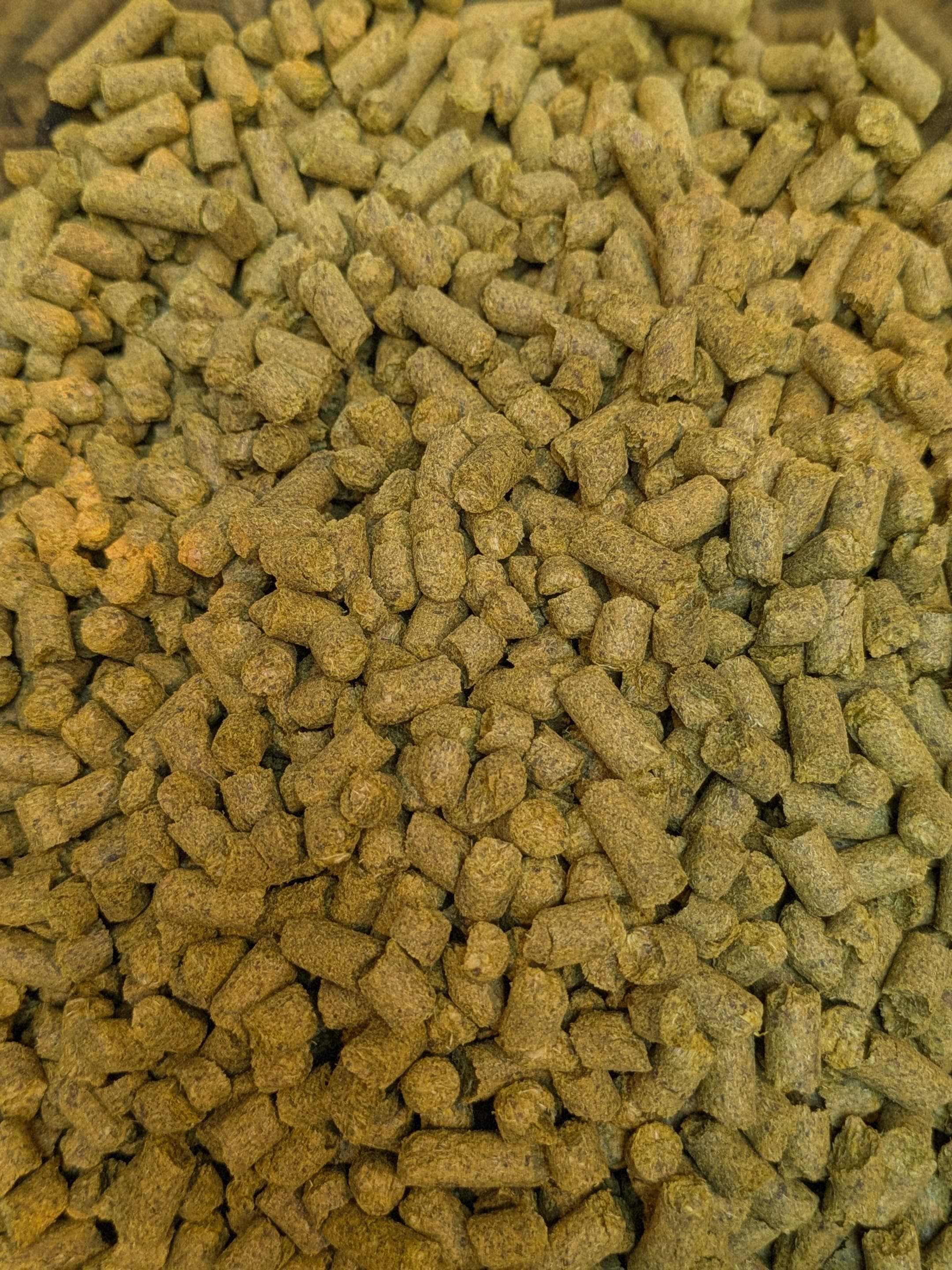 Brewing Pacifique 3