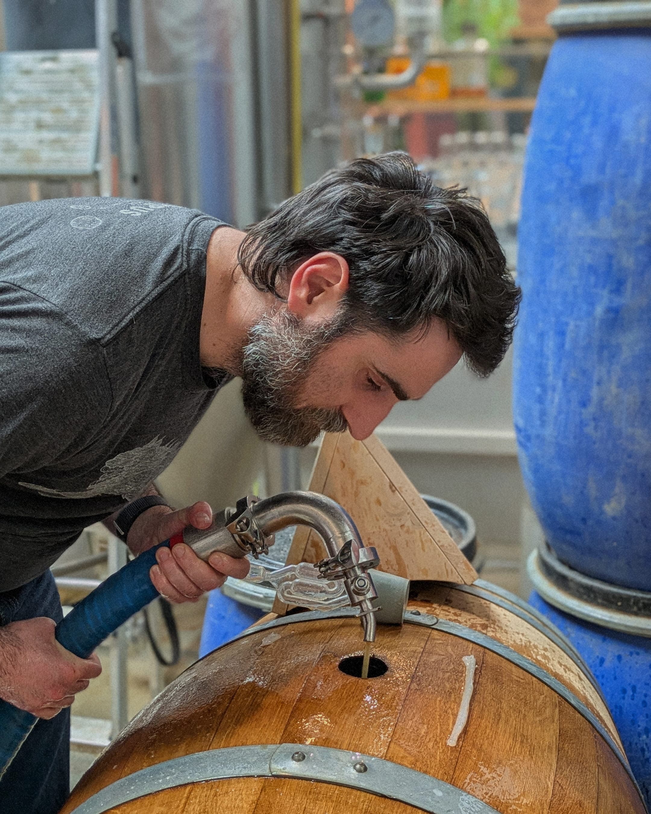Brewing Metsik Sauvage 2
