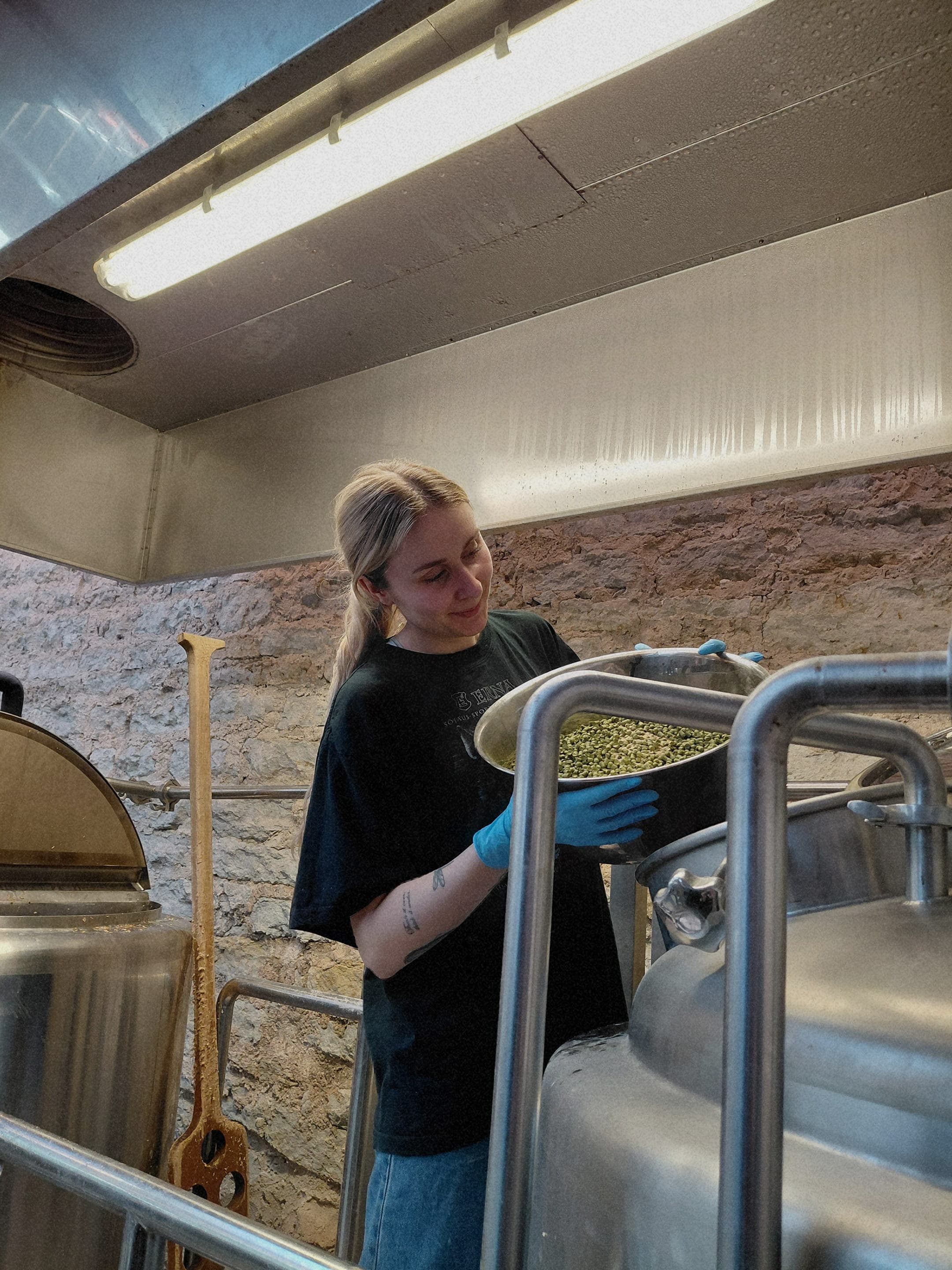 Brewing Vaim 2