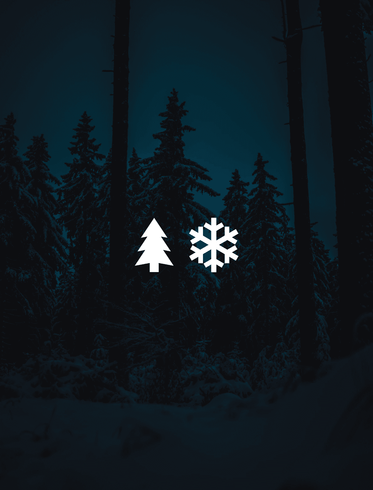 Pine forest silhouette at dusk